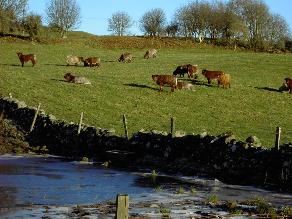 Nest Holiday Home Central Callander, Trossachs Self-Catering المظهر الخارجي الصورة